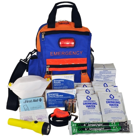 On-the-Go High-Visibility/High-Safety 3-DAY AUTO Emergency Kit